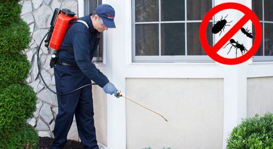 Kartal Kene İlaçlama böcek ilaçlama ve haşere kontrolü — ilaclama-tr.com